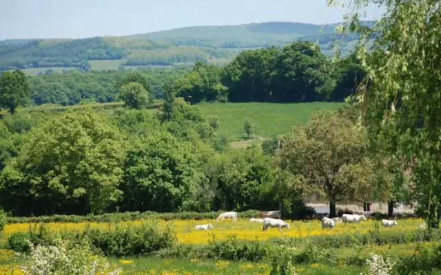 Chez Charolais