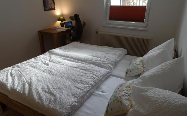 Bungalow Baloo Ferienhaus