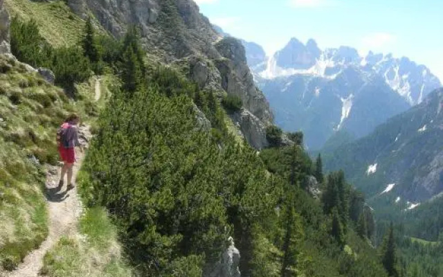 Appartments Helvetia