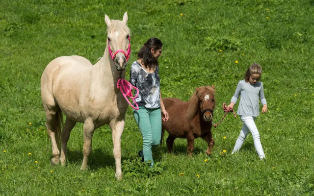 Gasthof Tschötscherhof