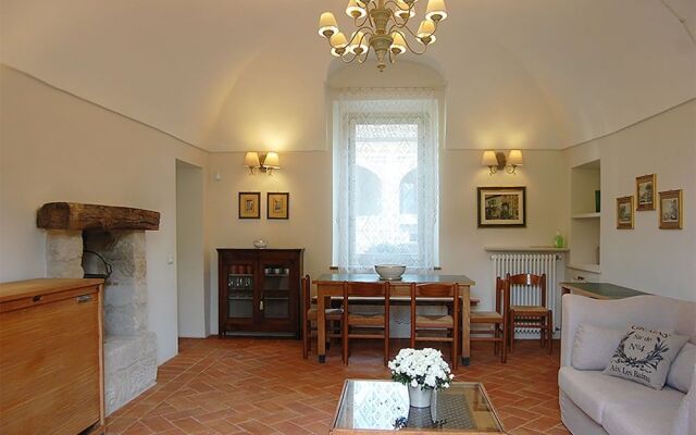 B&B Fraxinus Excelsior