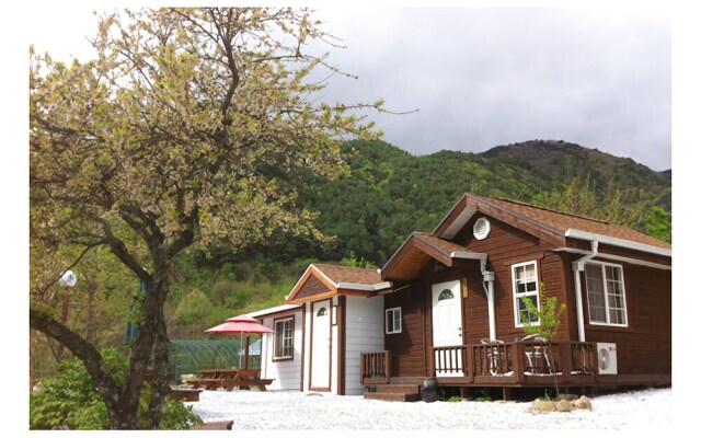 Jeongseon Galiwansan Story Pension