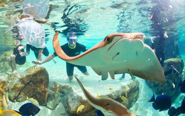 Staybridge Suites Orlando at SeaWorld by IHG