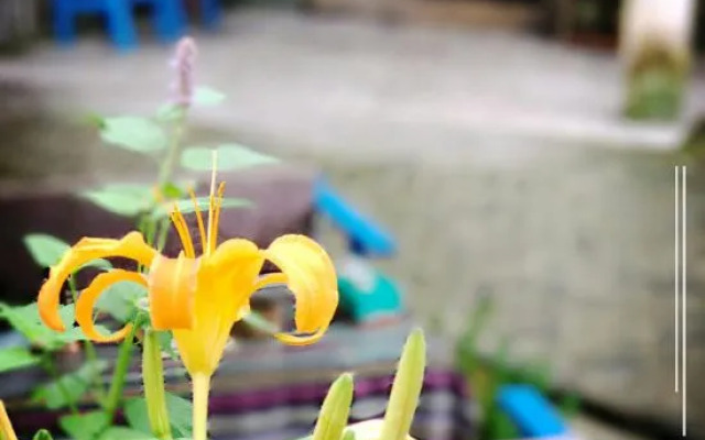 Ya'an River Lake April Inn