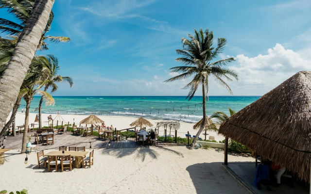 Petit Lafitte Hotel