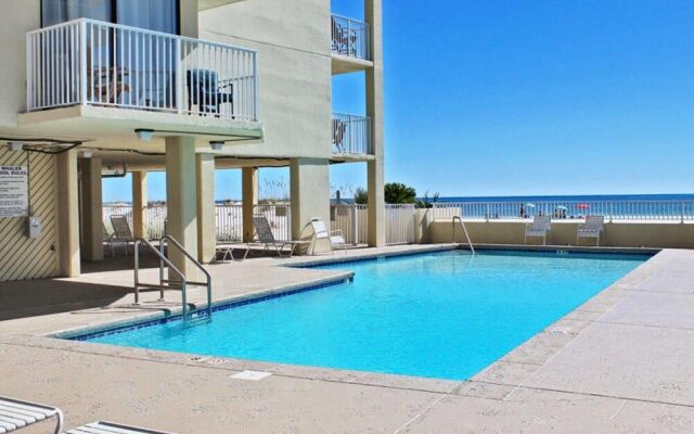 Whaler by Youngs Suncoast