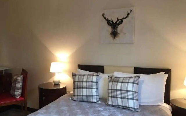 Wren 5-Hot Tub-Woodland Lodges-Pembrokshire-Tenby