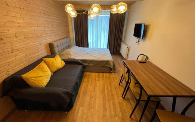 RedHubCo New Gudauri Loft 1, Redco 507