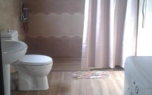 Guesthouse Markoz Achareli 65