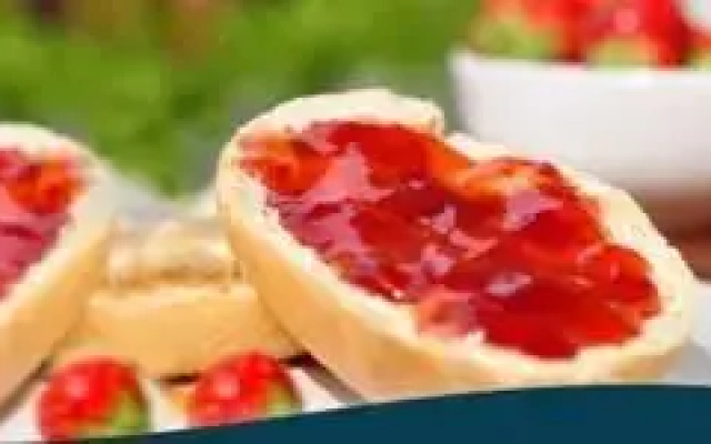 Elbhotel Bleckede