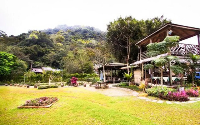 Taiwan Reishi Expert Bed and Breakfast