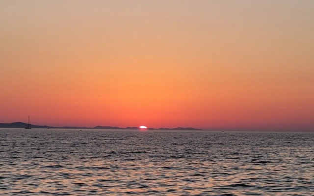 Petin - 5m From the sea - A1