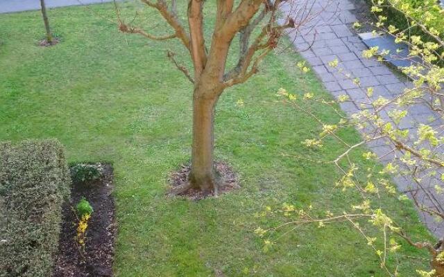 OPALINE T3 lumineux avec patio et parking privé