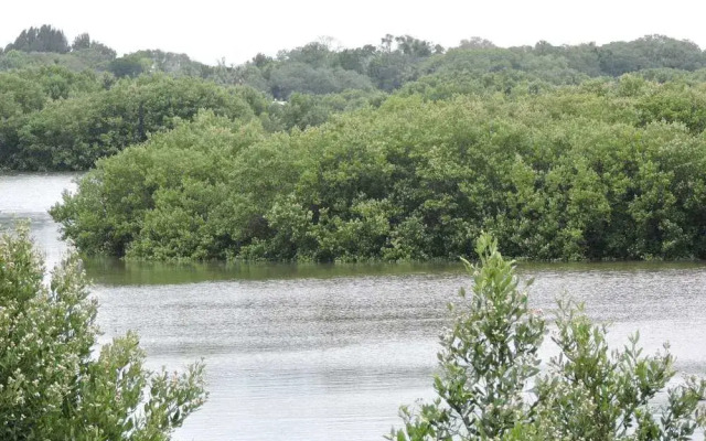 Natures Landing Condominiums