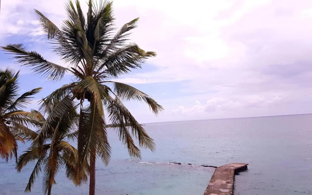 Studio Les pieds dans l'eau