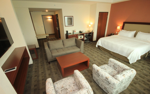 Holiday Inn Leon Plaza Mayor by IHG