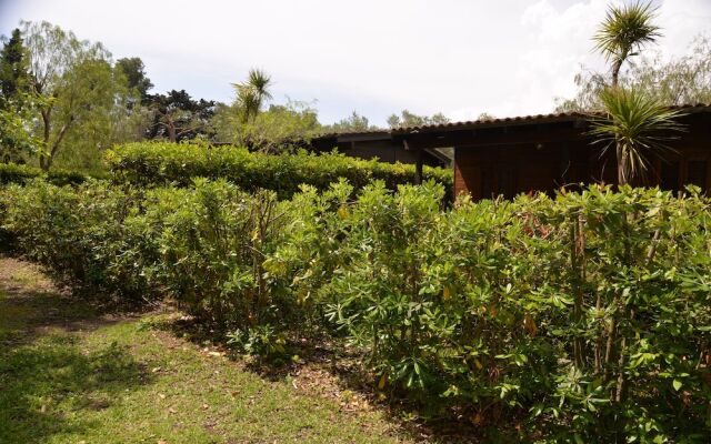 Agriturismo Alimini
