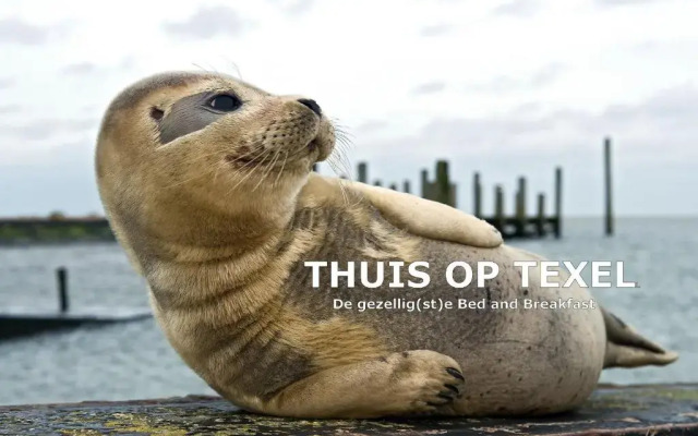 Thuis op Texel