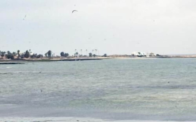 Dar Elbidha