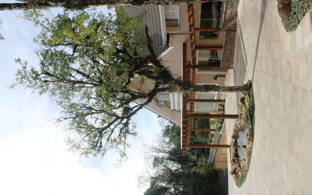 Hotel Monte Felice Bosque