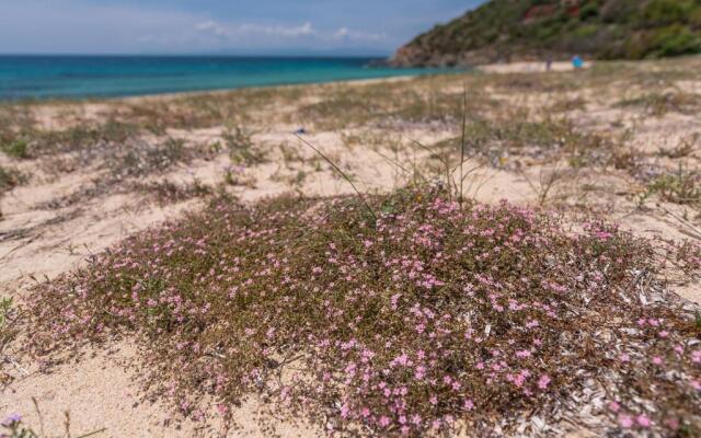 Sardinia SPA Apartment