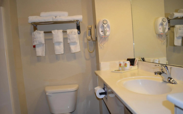 Super 8 by Wyndham Irving/DFW Apt/North
