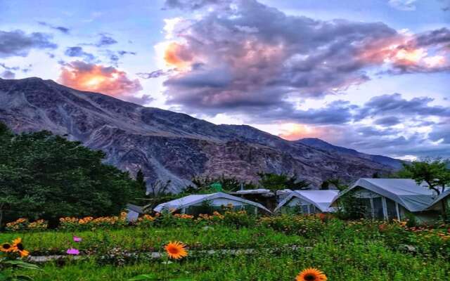 TIH Buckwheat Root Camp - Turtuk