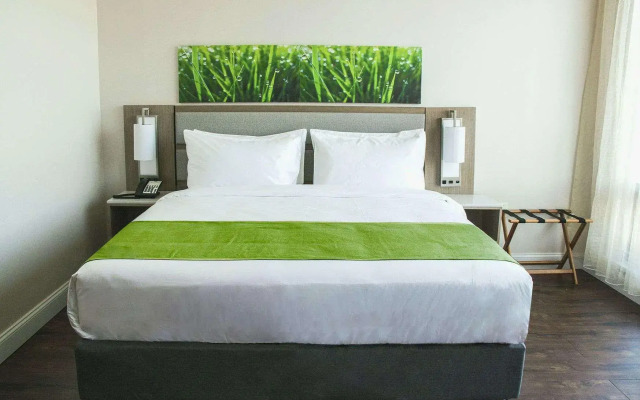Wyndham Garden Fresh Meadows Flushing