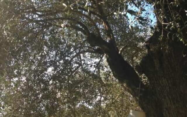 U Pampasgiolu - Gîte