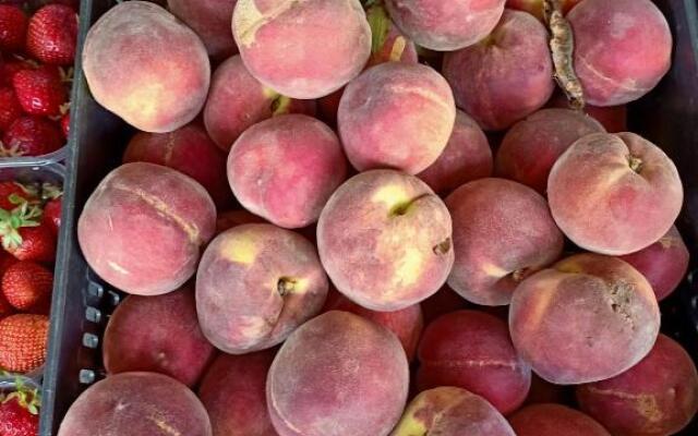 Agriturismo Il Cipresso