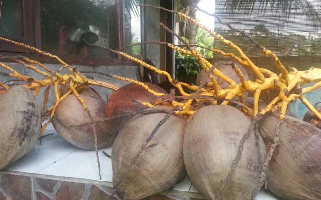 Khrisna Hs and Cottages