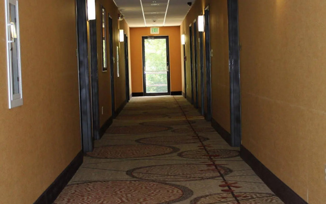 Best Western Plus The Woodlands