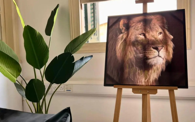 Unique and Renovated House Down Town Nicosia - Old City