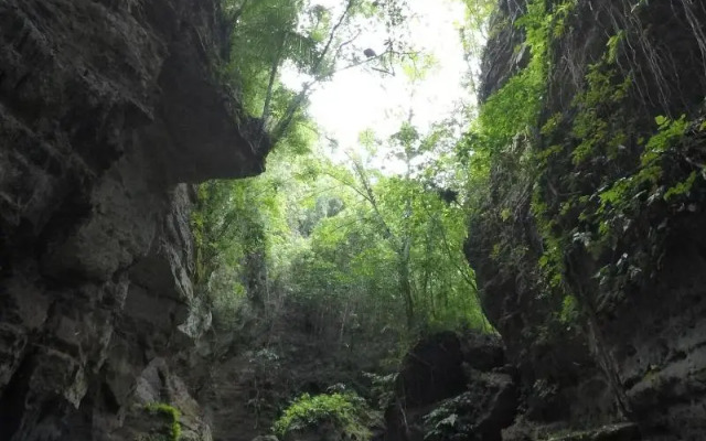 Alegria Water Front Beach House