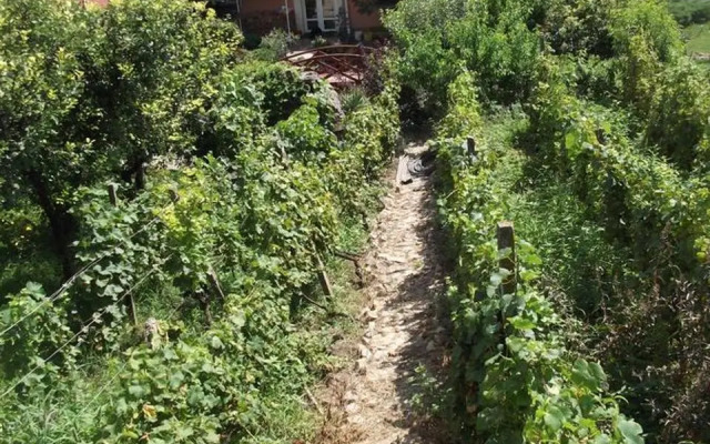 Pensiunea Raze De Soare