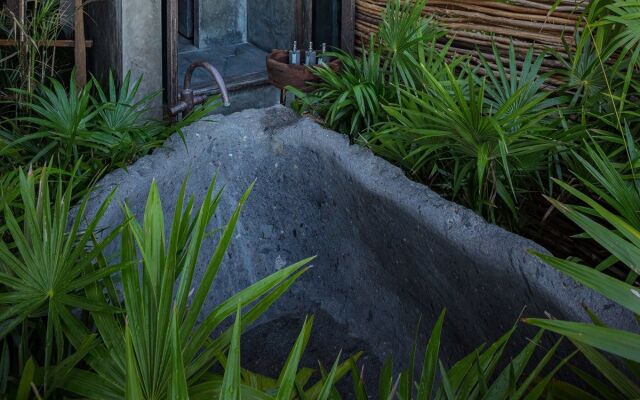 Nomade Holbox