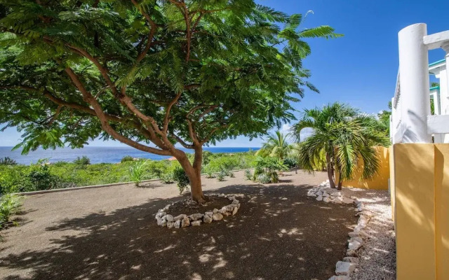 Tropical Twilight Haven Unwind in Style