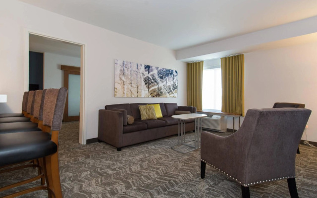 SpringHill Suites by Marriott Charlotte Ballantyne