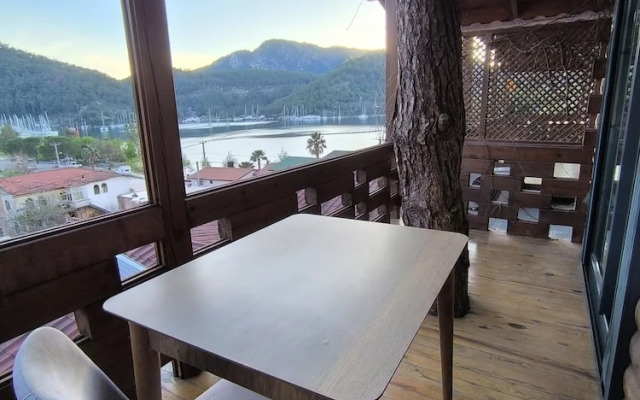 Pasha Bungalovs