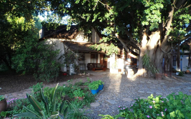 Saint du Barrys