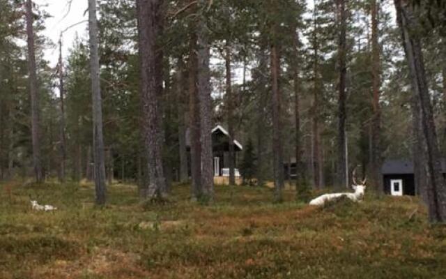 Ylläs Suistotie Cottage