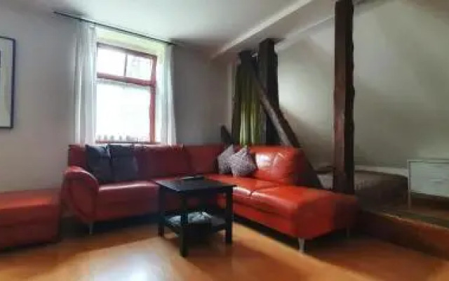 Apartmá v Rodném domě Vincenze Priessnitze v centru lázní