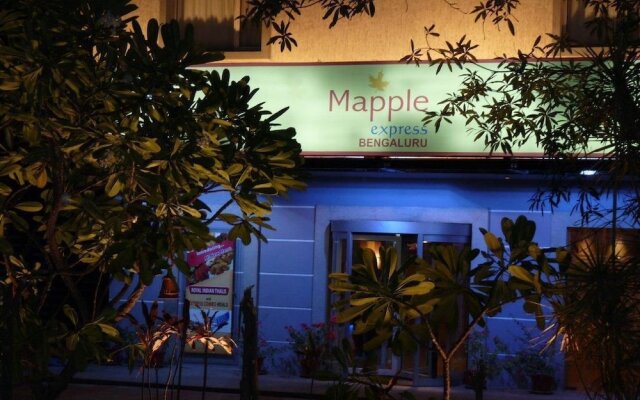 Mapple Express