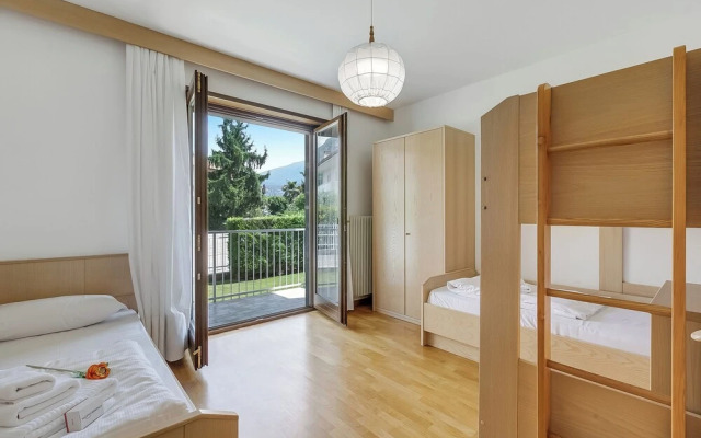 The Olive Tree Garden With Mountain View