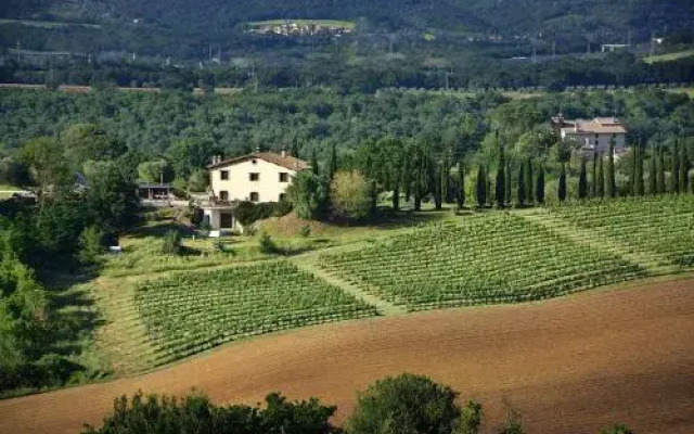 Il Collicello