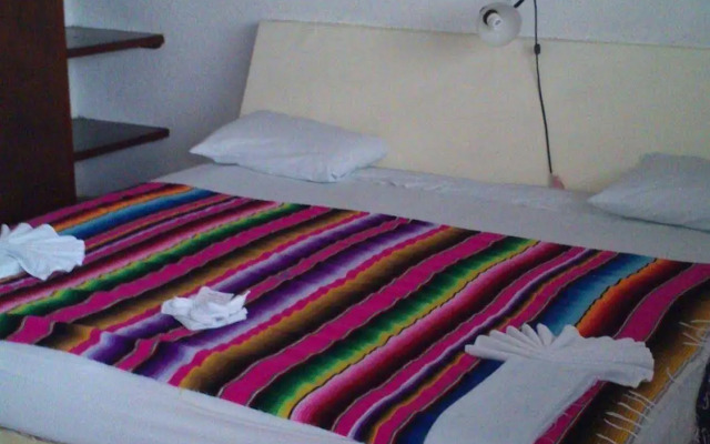 Safari Inn