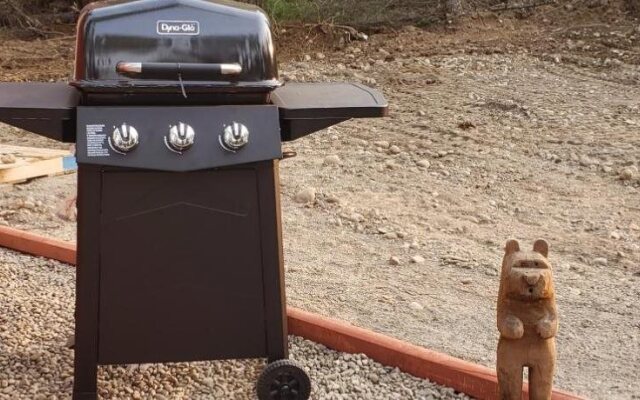 Mooseberry Cabin, Willow AK