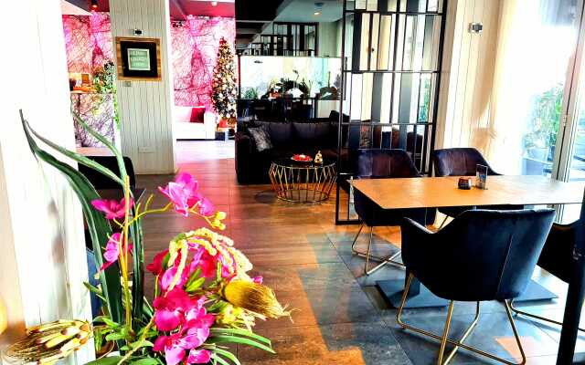 The Ciao Stelio Deluxe Hotel - Adults Only