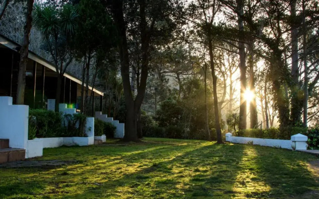 Silvermist Mountain Lodge