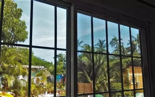 Surfing Sayulita Break
